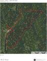 1536 Jakes Fork Road - Photo 30