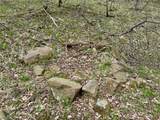 1536 Jakes Fork Road - Photo 8