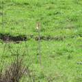  Fink Road - Photo 13