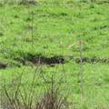  Fink Road - Photo 14