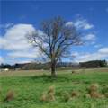  Fink Road - Photo 16