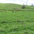  Fink Road - Photo 21