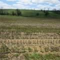  Fink Road - Photo 5