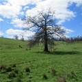  Fink Road - Photo 8