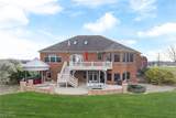 10366 Immel Street - Photo 4