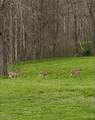 29981 Bashan Road - Photo 43
