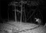 Zane Road - Photo 14