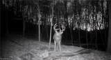  Zane Road - Photo 10
