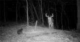  Zane Road - Photo 11