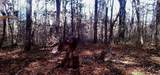  Zane Road - Photo 12