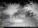  Ragersville Road - Photo 22