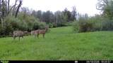 4101 Peace Road - Photo 12