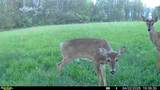 4101 Peace Road - Photo 13