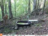  Boone Road - Photo 13