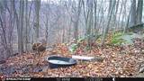  Boone Road - Photo 22