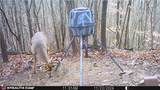  Boone Road - Photo 23
