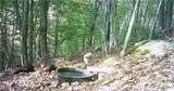 Boone Road - Photo 24
