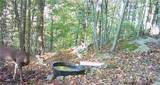 Boone Road - Photo 25