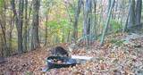  Boone Road - Photo 26