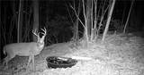  Boone Road - Photo 27