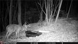  Boone Road - Photo 28
