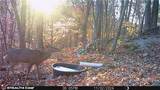  Boone Road - Photo 29