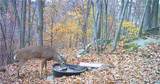  Boone Road - Photo 30