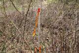 11 ac Whiskey Run Road - Photo 23