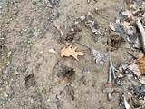  Hanson Road - Photo 11