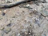  Hanson Road - Photo 12