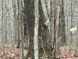 Hanson Road - Photo 13