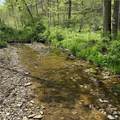  Township Road 423 - Photo 15