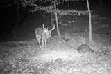  Township Road 423 - Photo 40