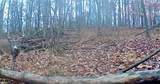  Township Road 423 - Photo 41