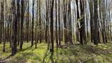  California Road - Photo 1