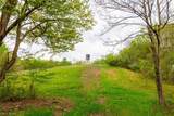 53320 County Road 425 - Photo 9
