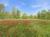 69 acres Newlon Road - Photo 10