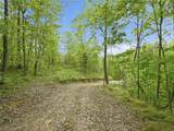 69 acres Newlon Road - Photo 11