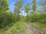69 acres Newlon Road - Photo 15