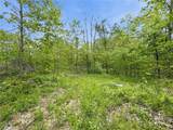 69 acres Newlon Road - Photo 16