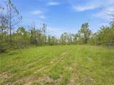 69 acres Newlon Road - Photo 17