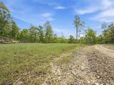 69 acres Newlon Road - Photo 7