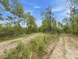 69 acres Newlon Road - Photo 8