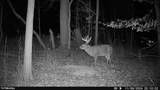 95 acres Newlon Road - Photo 19