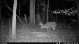 95 acres Newlon Road - Photo 20