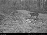 95 acres Newlon Road - Photo 21
