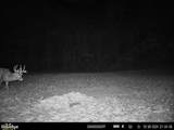 95 acres Newlon Road - Photo 22