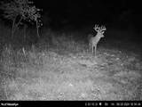 95 acres Newlon Road - Photo 23