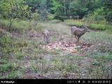 95 acres Newlon Road - Photo 24