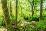 37500 Goose Run Road - Photo 39